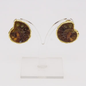 Ohrstecker, 585/°°°Gelbgold, Ammonite, Einzelstücke, Handarbeit